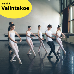 Ilmoittautuminen EK- valintakokeesen